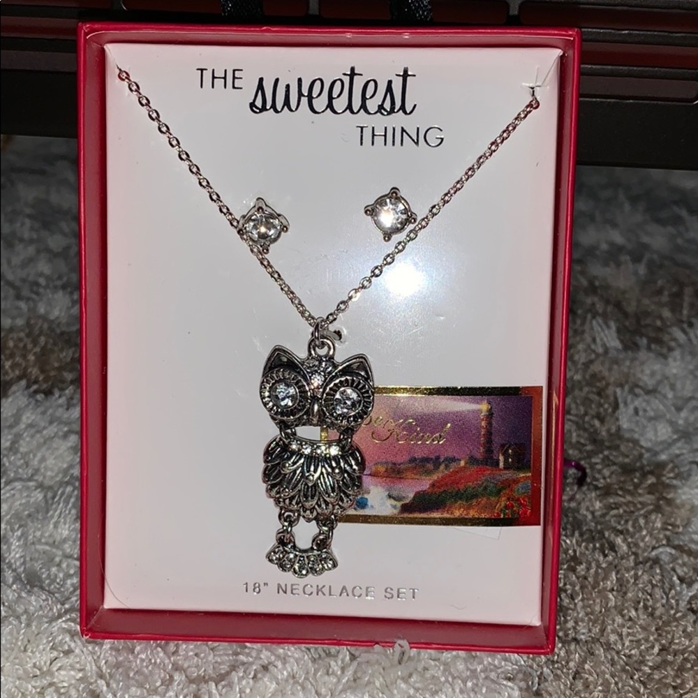 A sliver owl necklace with a pair of earrings!